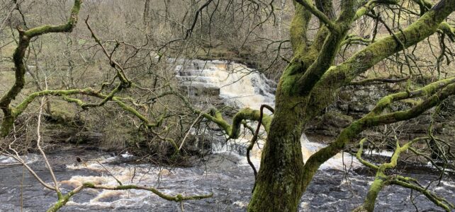 KHC Subscribers KHC Subscribers