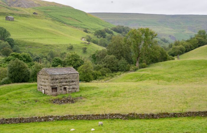 492593794_1247338474064663_2029989104093034261_n